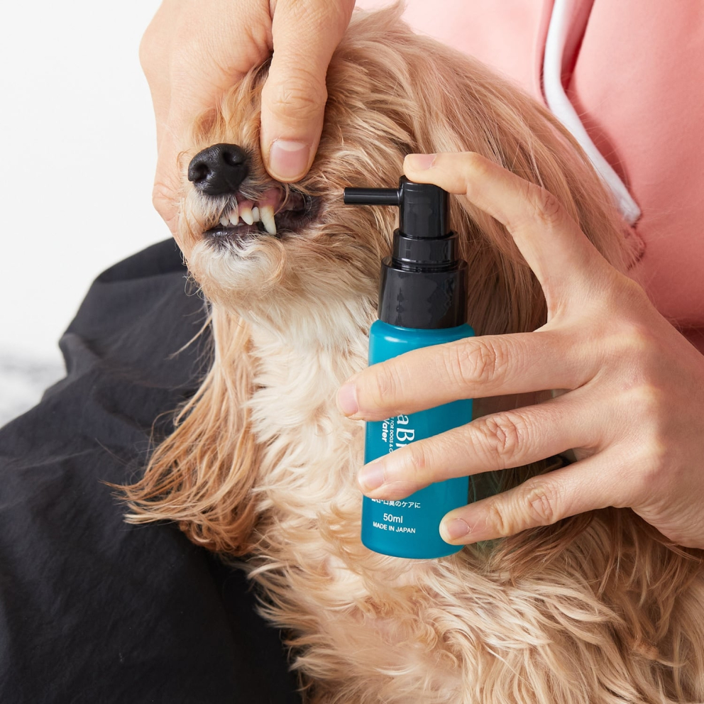 orabio_dogs_cats_repair_water_50ml_3