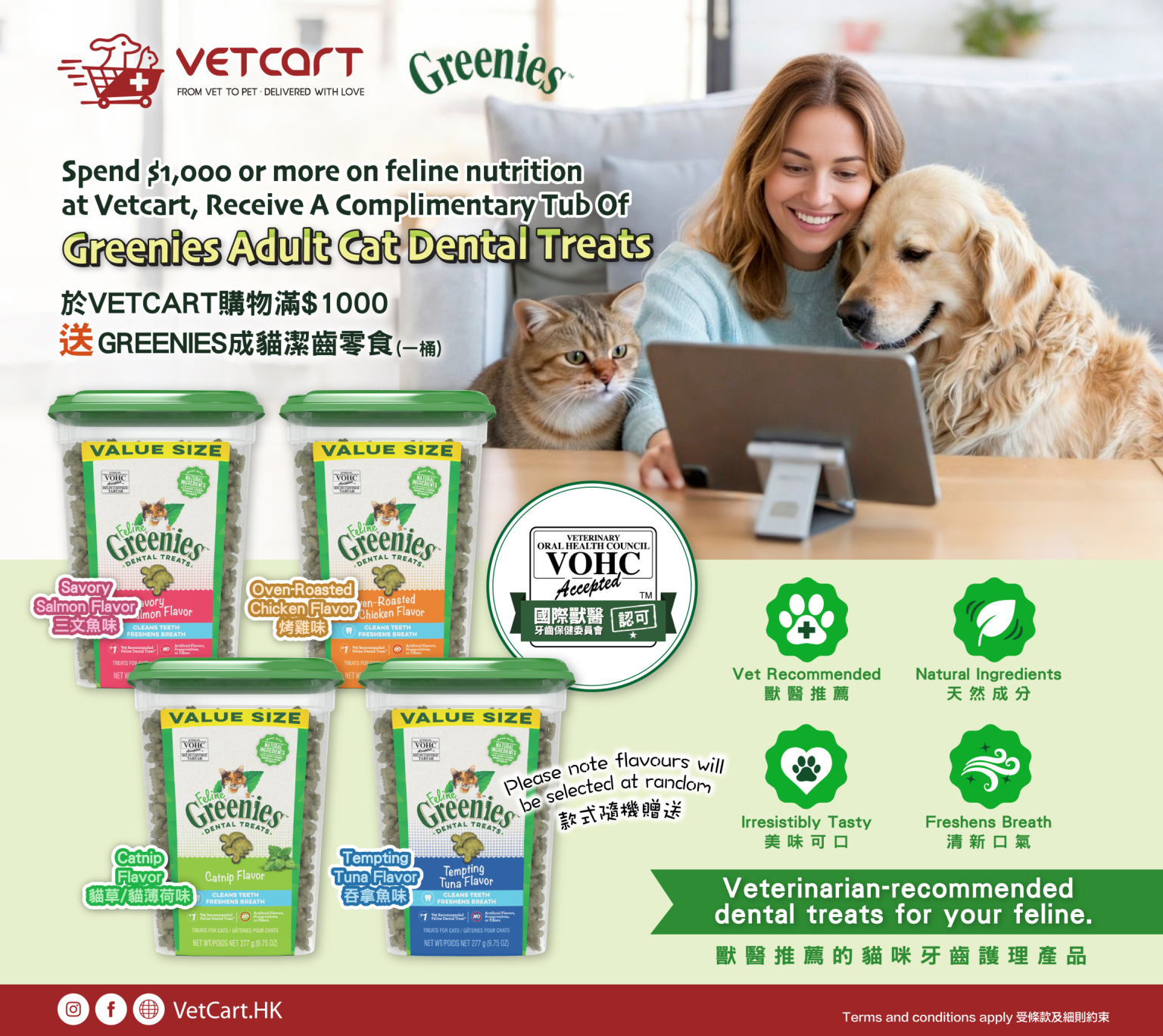 20260208_Cats_Greenies_Banner_Responsive_1536x1368px-01