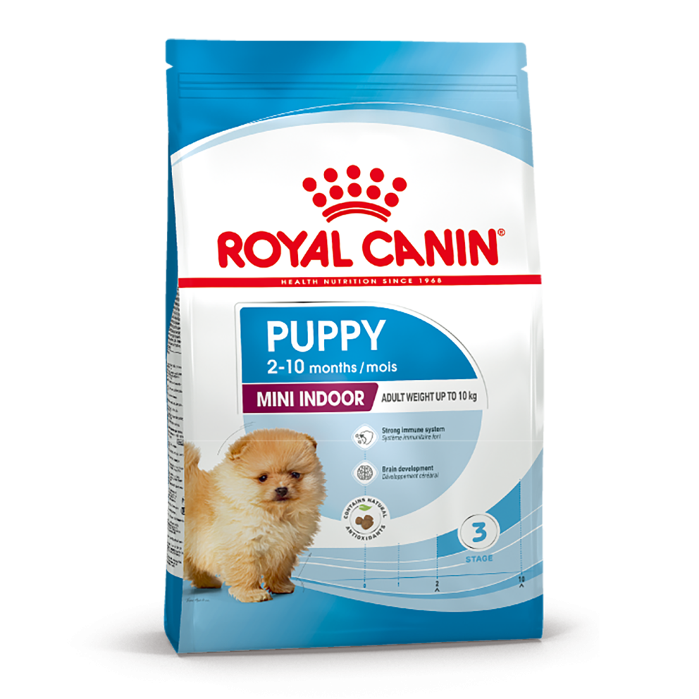 Mini_indoor_puppy
