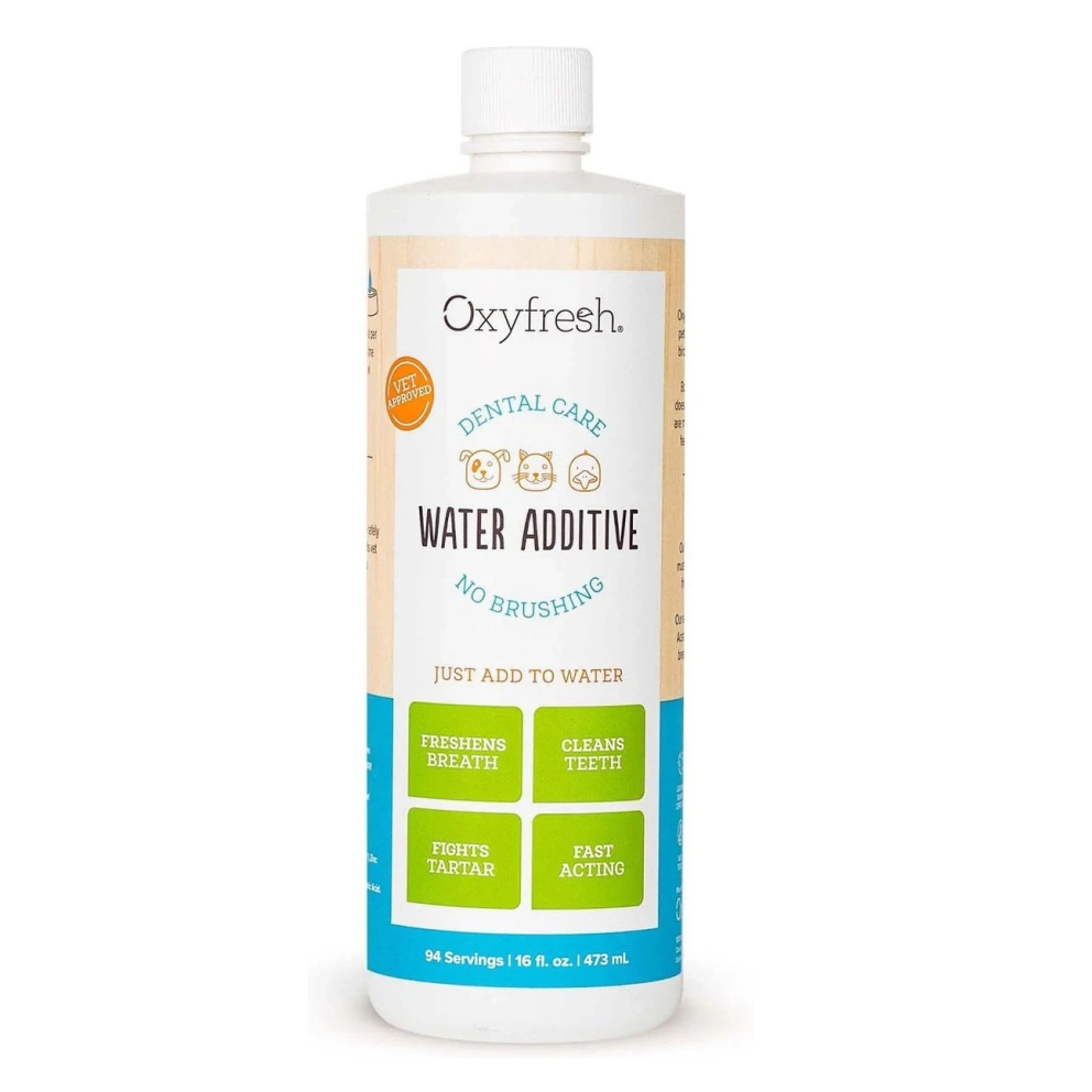 WhatsApp_Image_2026-02-16_at_4.17.27_AM