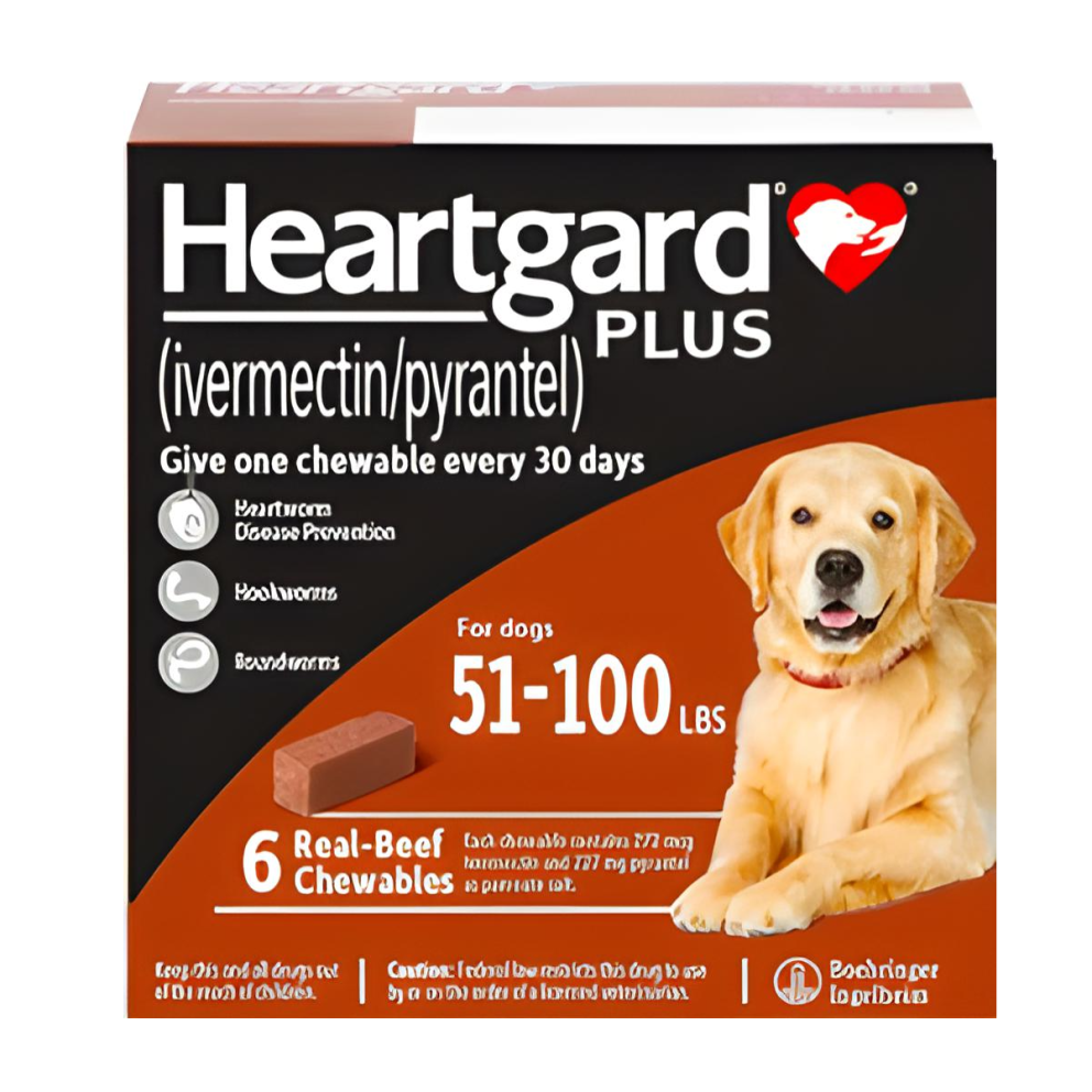 Heartgard-dog-100lbs-6chews_1
