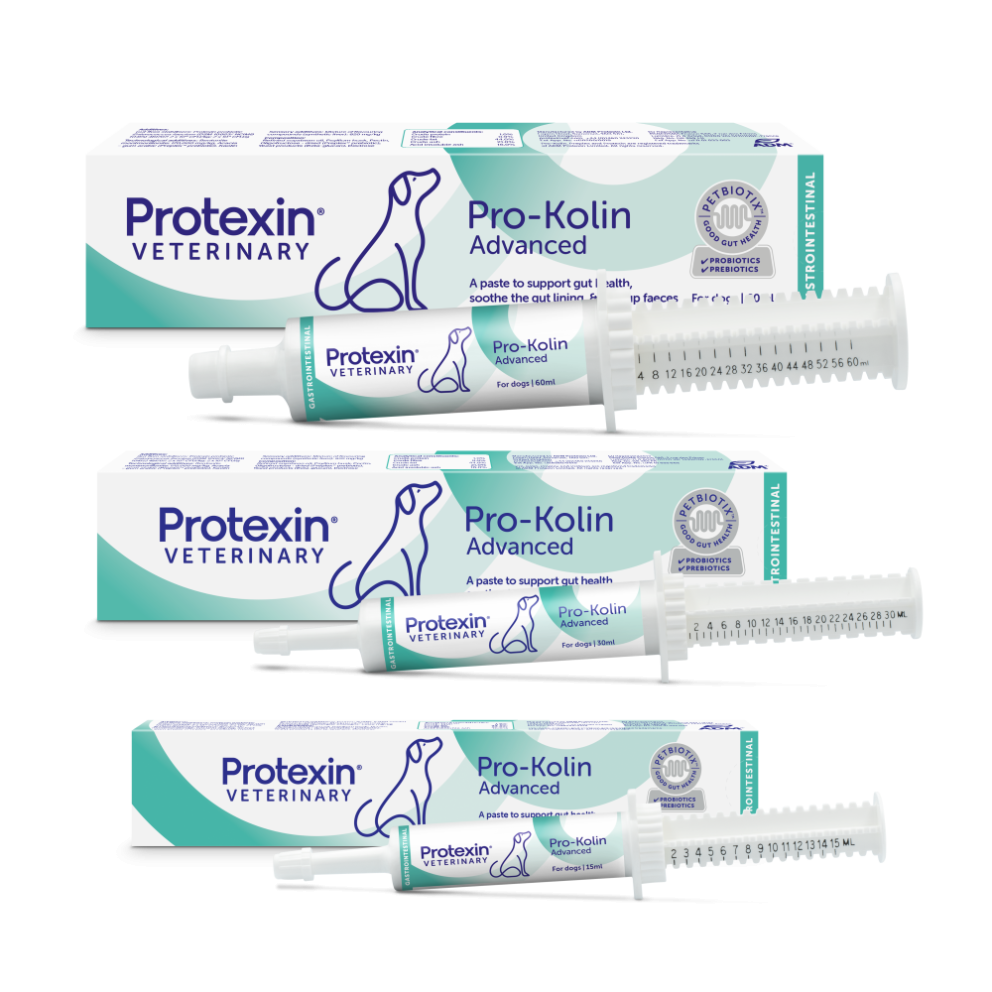 Pro-Kolin_Advanced_for_Dogs_group