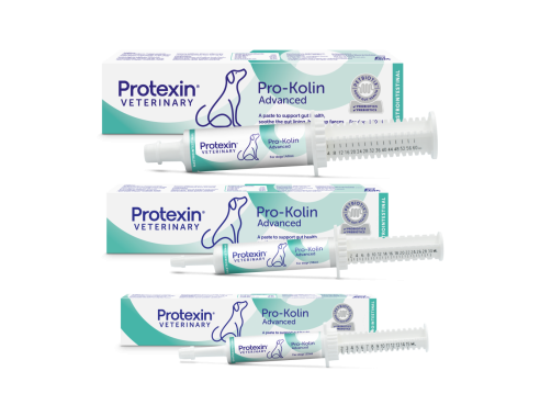 Pro-Kolin_Advanced_for_Dogs_group