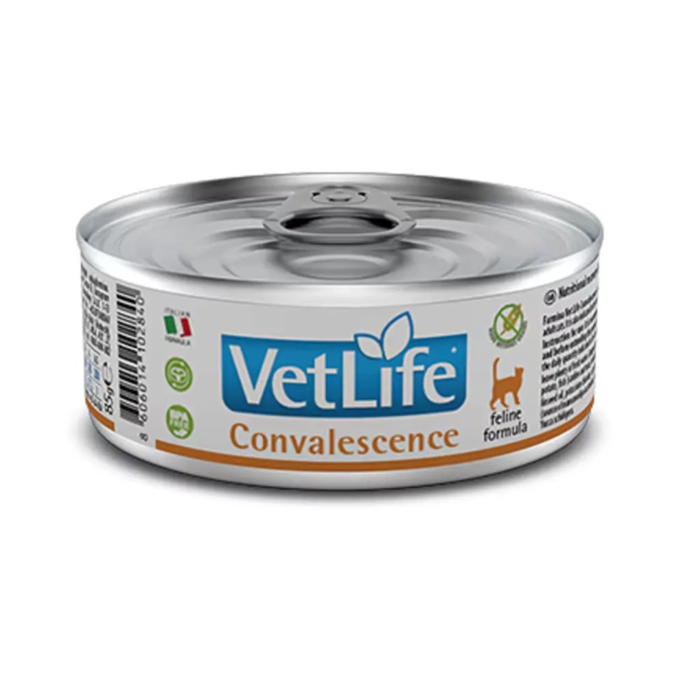 VetLife_cat_canned_Convalescence_85g_1_(1)