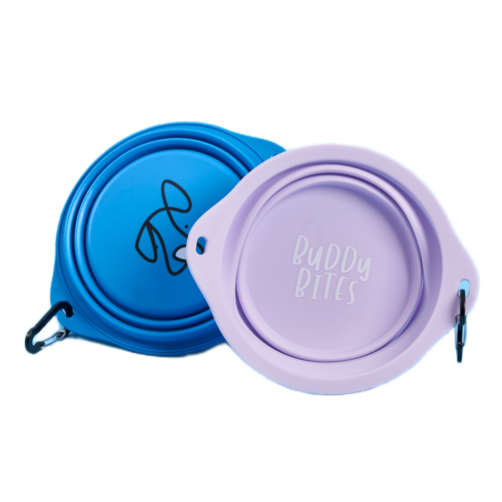 120823~BUDDY_BITES_SHOOT_6097