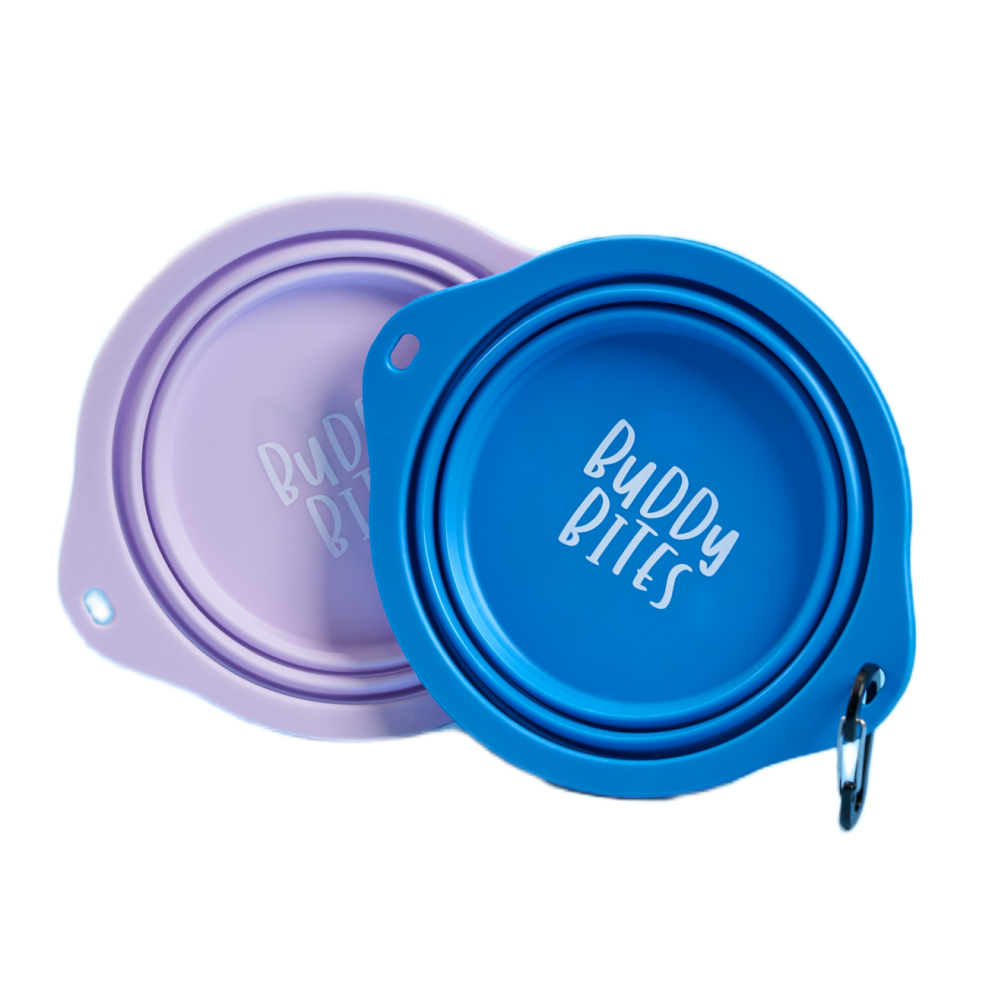 120823~BUDDY_BITES_SHOOT_6094