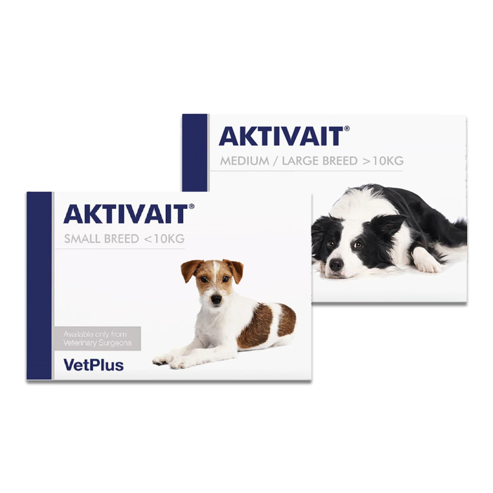 VetPlus_Aktivait_Group