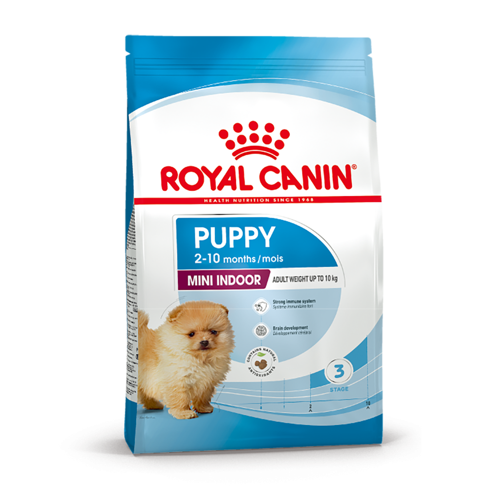Mini_indoor_puppy