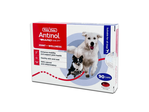 Antinol_Rapid_Dogs