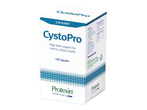 CystoPro