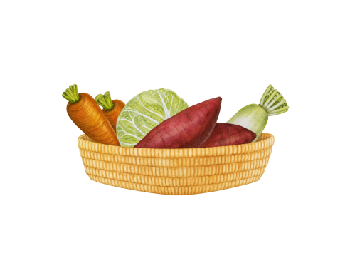 Saesa_SweetPotato_Illustration