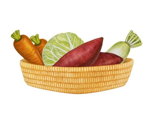 Saesa_SweetPotato_Illustration