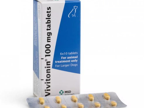 Vivitonin_100mg