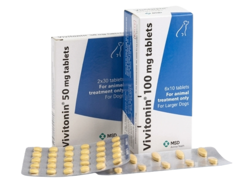 Vivitonin_group