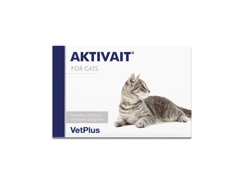 VetPlus_Aktivait_Cats