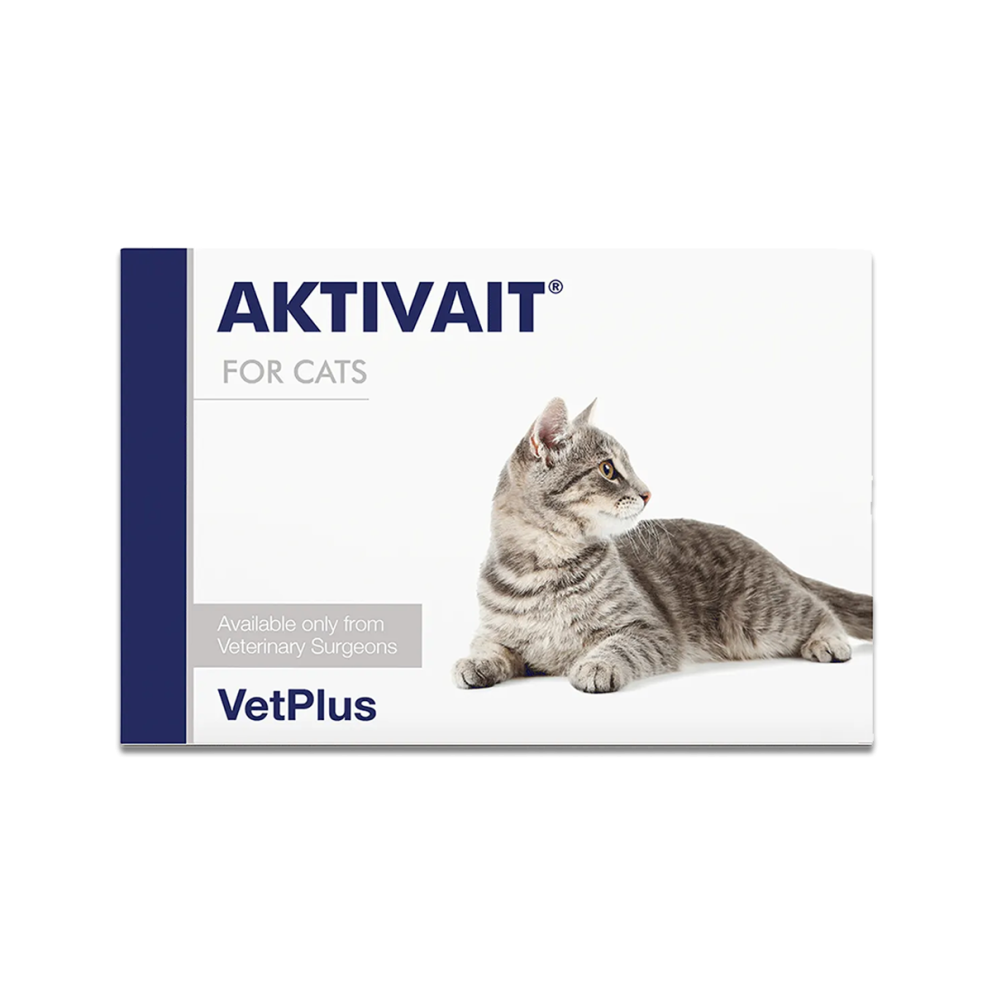 VetPlus_Aktivait_Cats