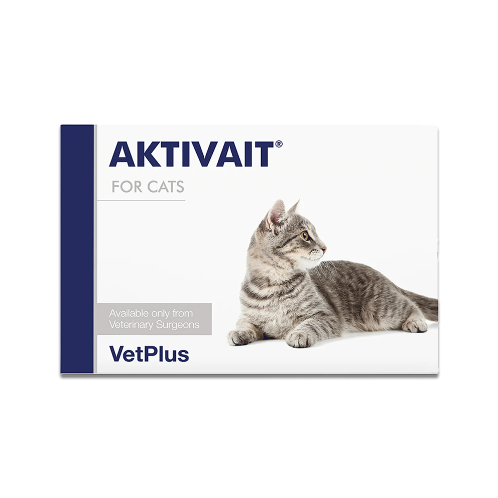 VetPlus_Aktivait_Cats