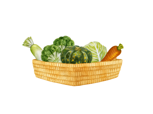 Saesa_Original_Illustration