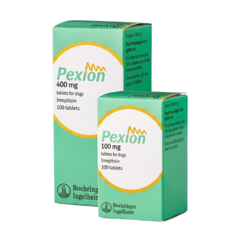 Pexion_group