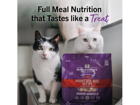 S&amp;C_cat_freeze_dried_beef_3.5oz_2