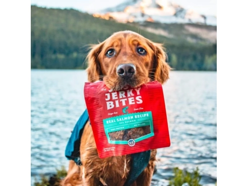 S&amp;C_dog_JustJerkyBites_Salmon_6oz_4
