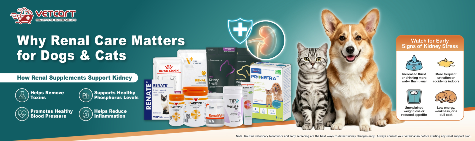 20260625_Kidney_Banner_Desktop_1904x565px-01