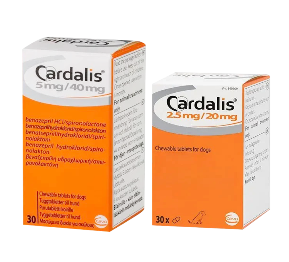 WhatsApp_Image_2026-02-26_at_00.55.23