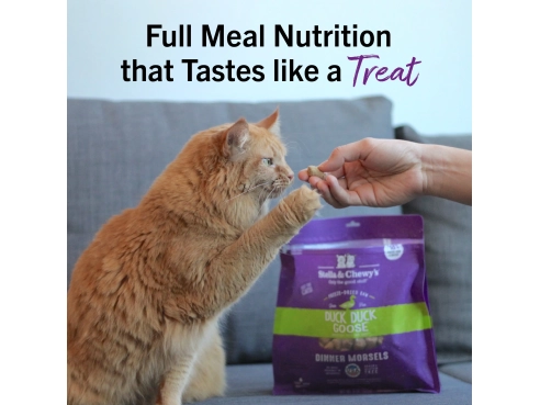 S&amp;C_cat_freeze_dried_duckduck_goose_3.5oz_2