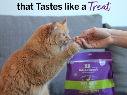 S&amp;C_cat_freeze_dried_duckduck_goose_3.5oz_2