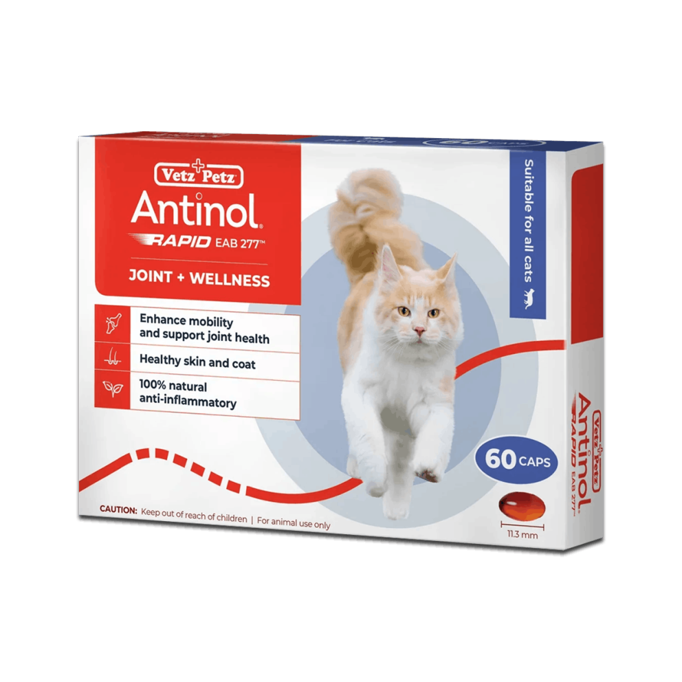 Antinol_Rapid_Cats