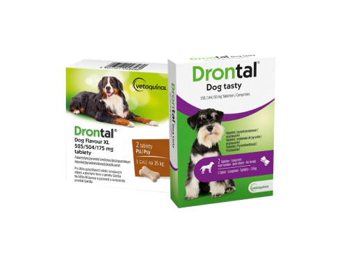 Drontal_for_dog_group