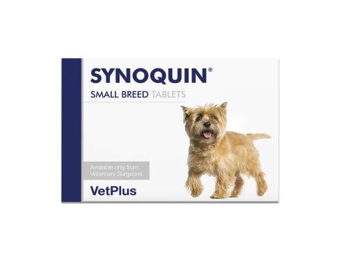VetPlus_Synoquin_Dogs