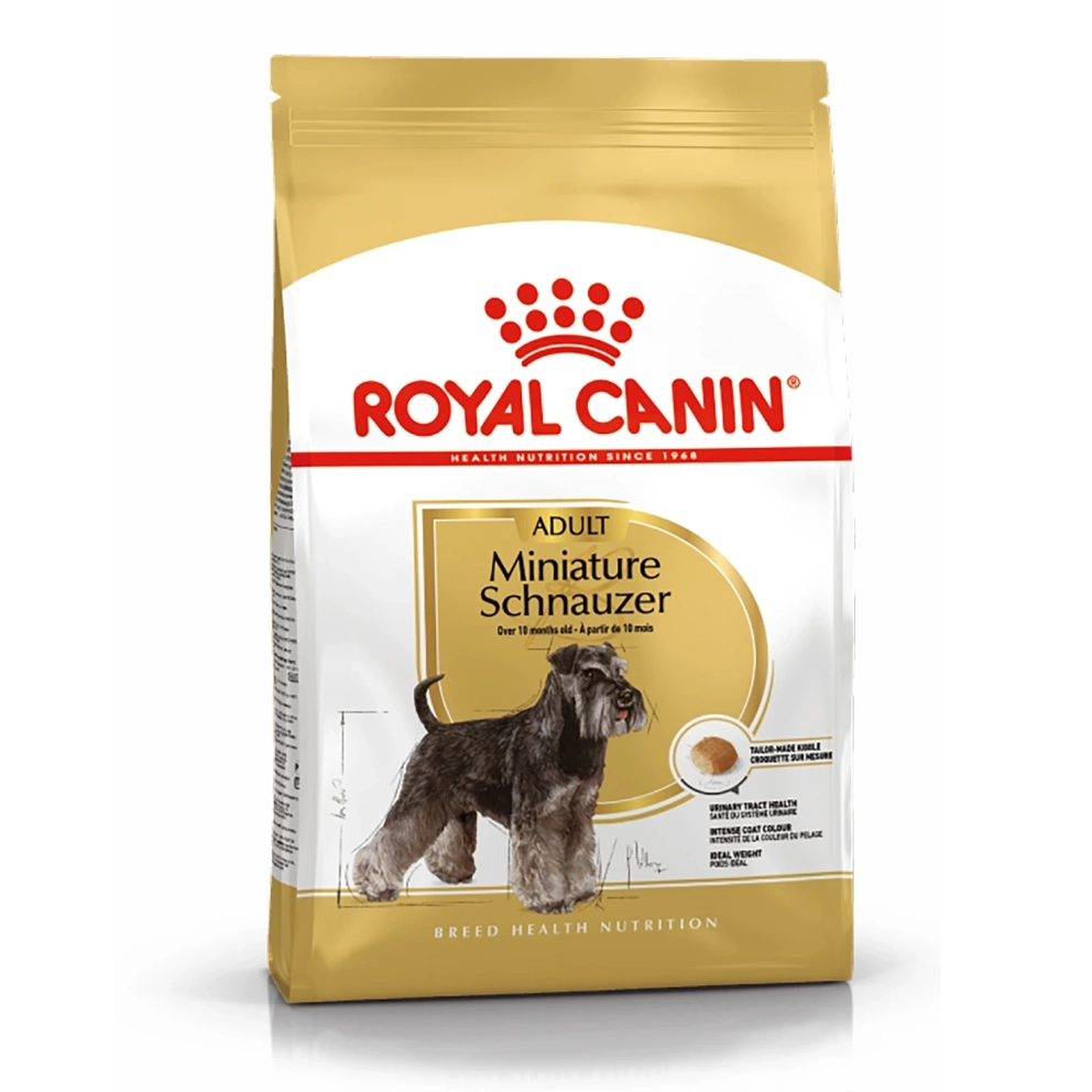 Miniature_Schnauzer_Adult