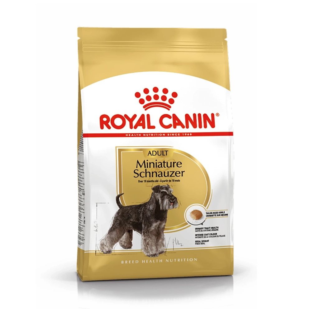 Miniature_Schnauzer_Adult