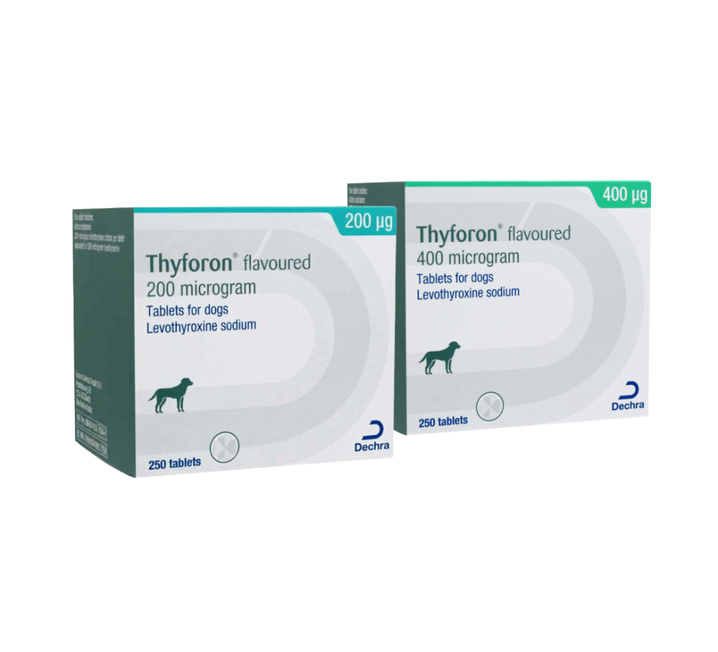 Thyforon_group