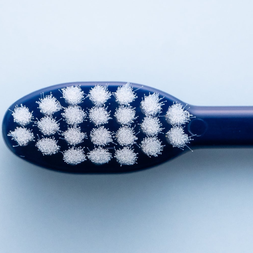 orabio_dogs_Large_navy_toothbrush_3