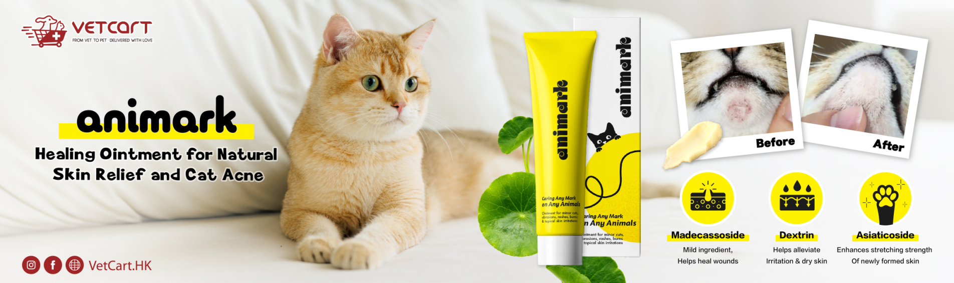 20260407_Cat_Animark_Banner_Desktop_1904x565px-01