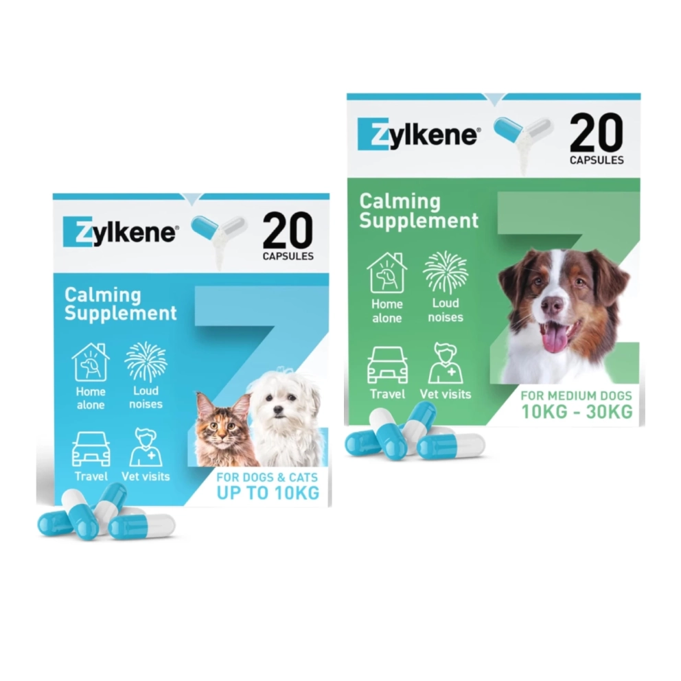 Zylkene-Dog-Calming-Capsules-2in1_1
