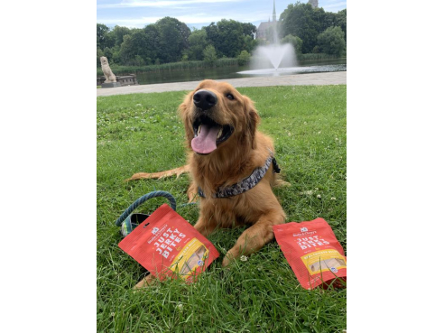 S&amp;C_dog_JustJerkyBites_Chicken_6oz_3