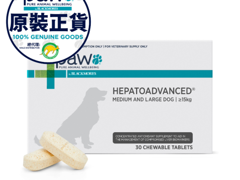 Paw_Hepatoadvanced_L_Front_w