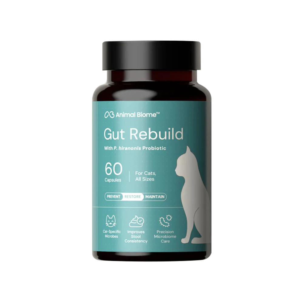 WhatsApp_Image_2026-02-12_at_22.32.30