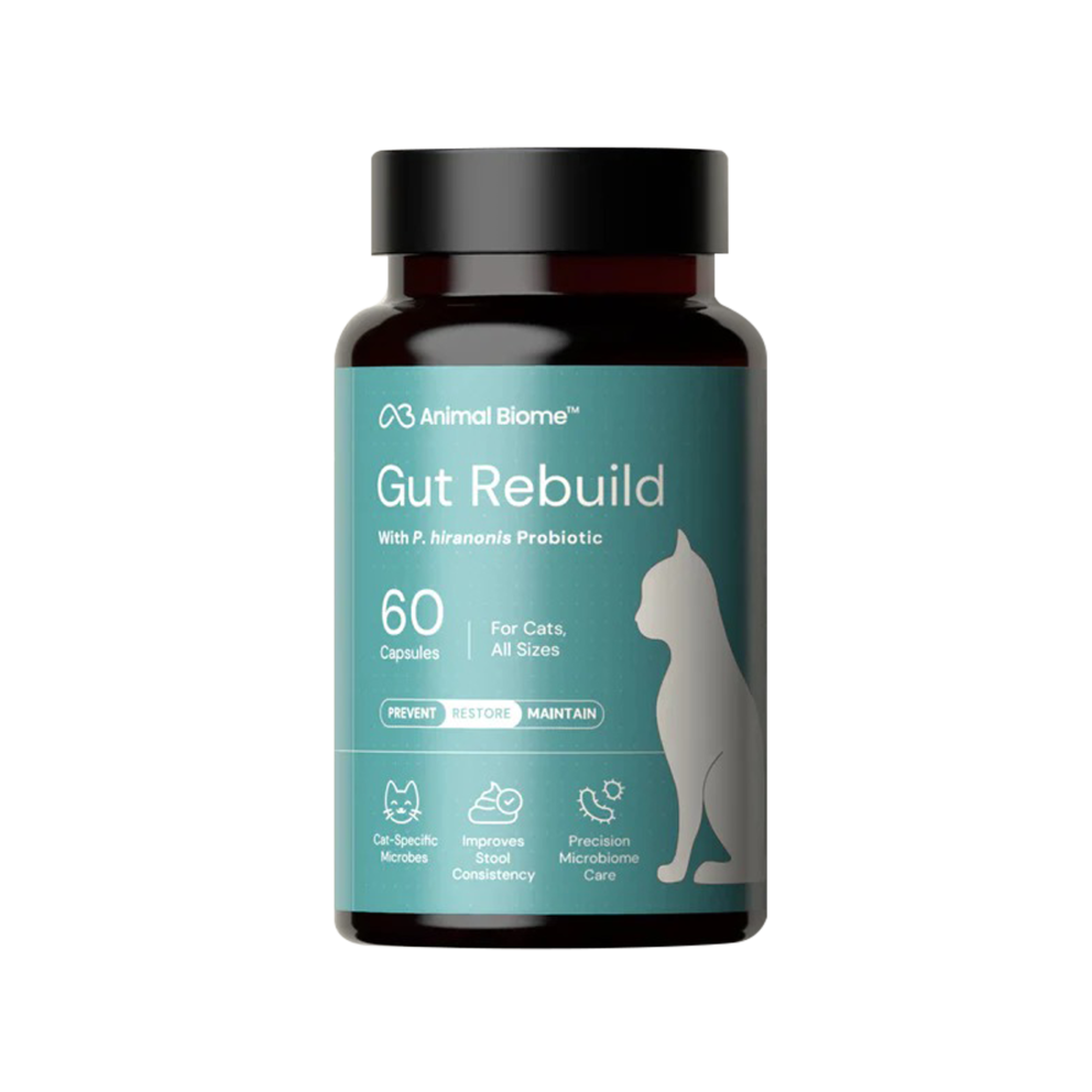 WhatsApp_Image_2026-02-12_at_22.32.30