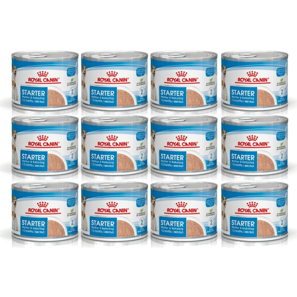 Starter_Mother_&amp;_Babydog_Canx12