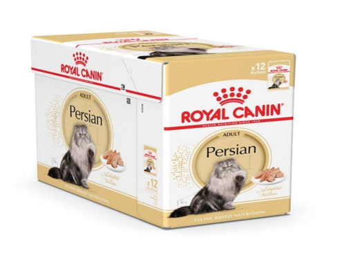 Persian_Adult_Loafx12