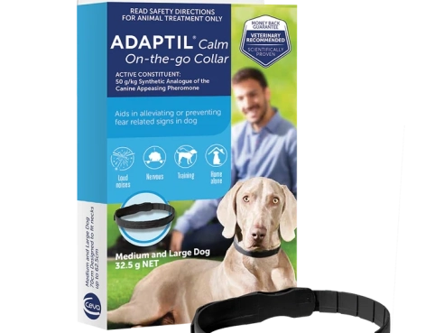 Adaptil_Collar_Large_Front_Facing_Right_with_collar