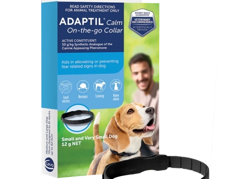 Adaptil_Collar_Small_Front_Facing_Right_with_collar