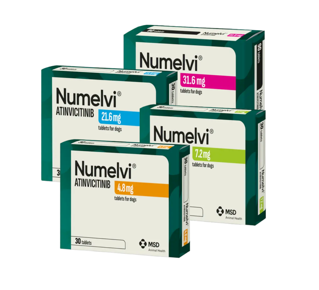 Numelvi_group