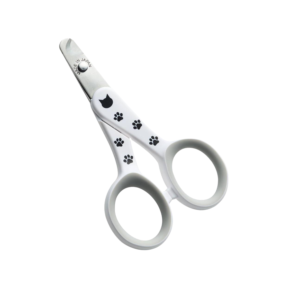 WhatsApp_Image_2026-02-25_at_23.20.34_(2)