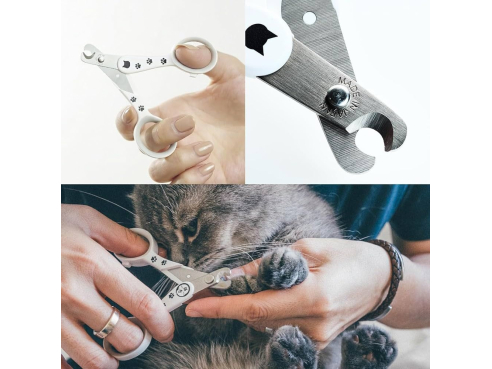 WhatsApp_Image_2026-02-25_at_11.21.44_PM