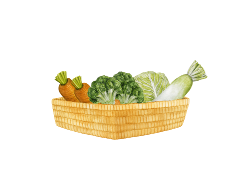 Saesa_Protein_Illustration